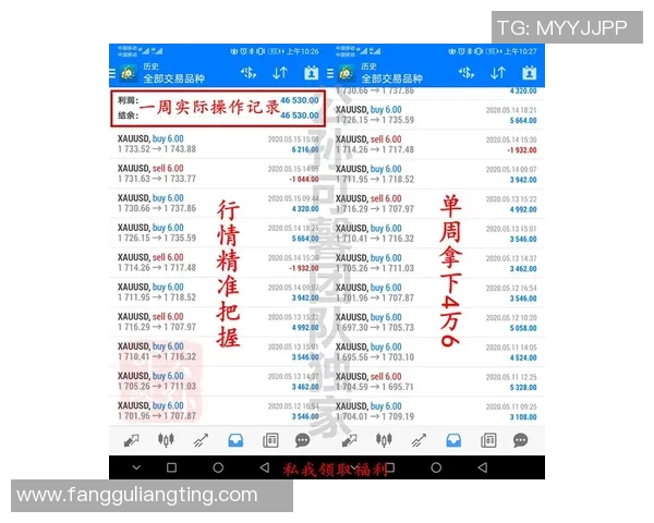 成都排球队防守策略解析与排球热点动态深度剖析