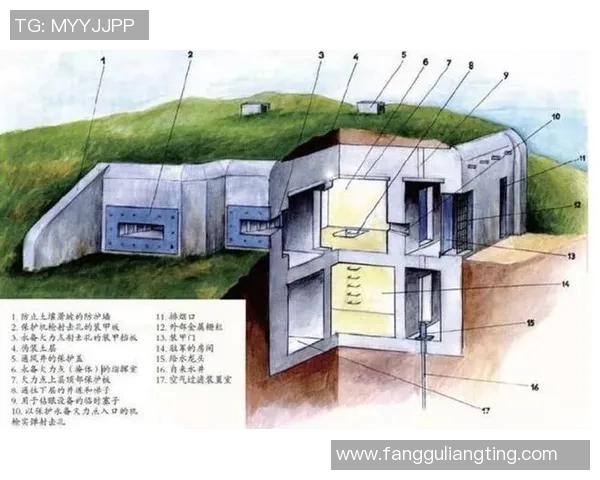 深入剖析重庆足球队防守体系与战术布局的奥秘与挑战