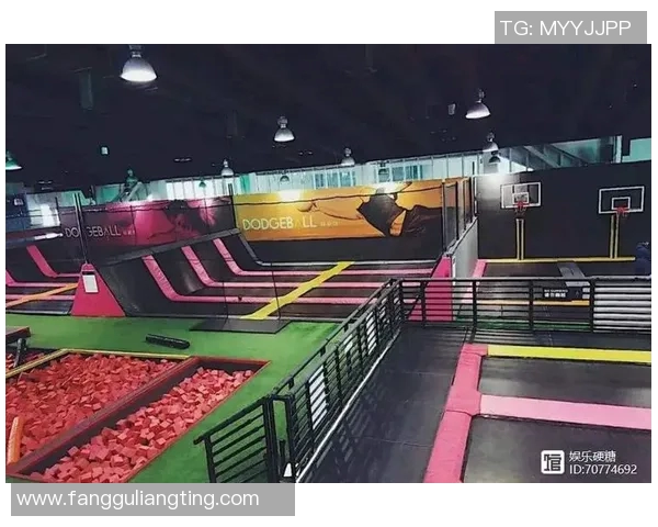 运动数据南京极限运动队实力强劲荣登全国排行榜第七名