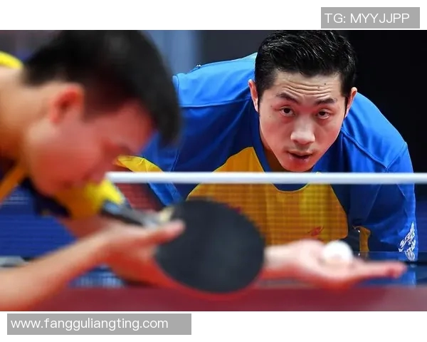 实时新闻乒乓球新手必读从零基础到比赛高手的全面入门指南